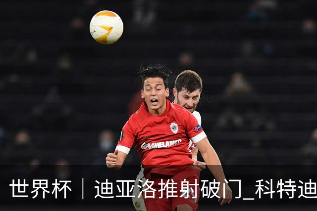 世界杯｜迪亚洛推射破门 科特迪瓦队绝杀厄瓜多尔队